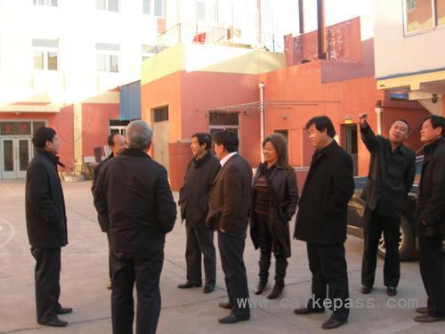 市民政局领导视察