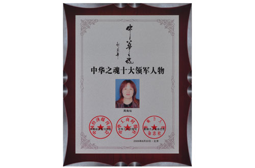 中华之魂十大领军人物